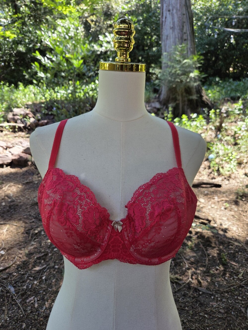Victorias Secret Dream Angels Red Lace Lined Demi Bra Size 38C
